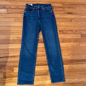 Gap 90s Loose High Rise Jeans Medium Blue Sz 26  NWOT